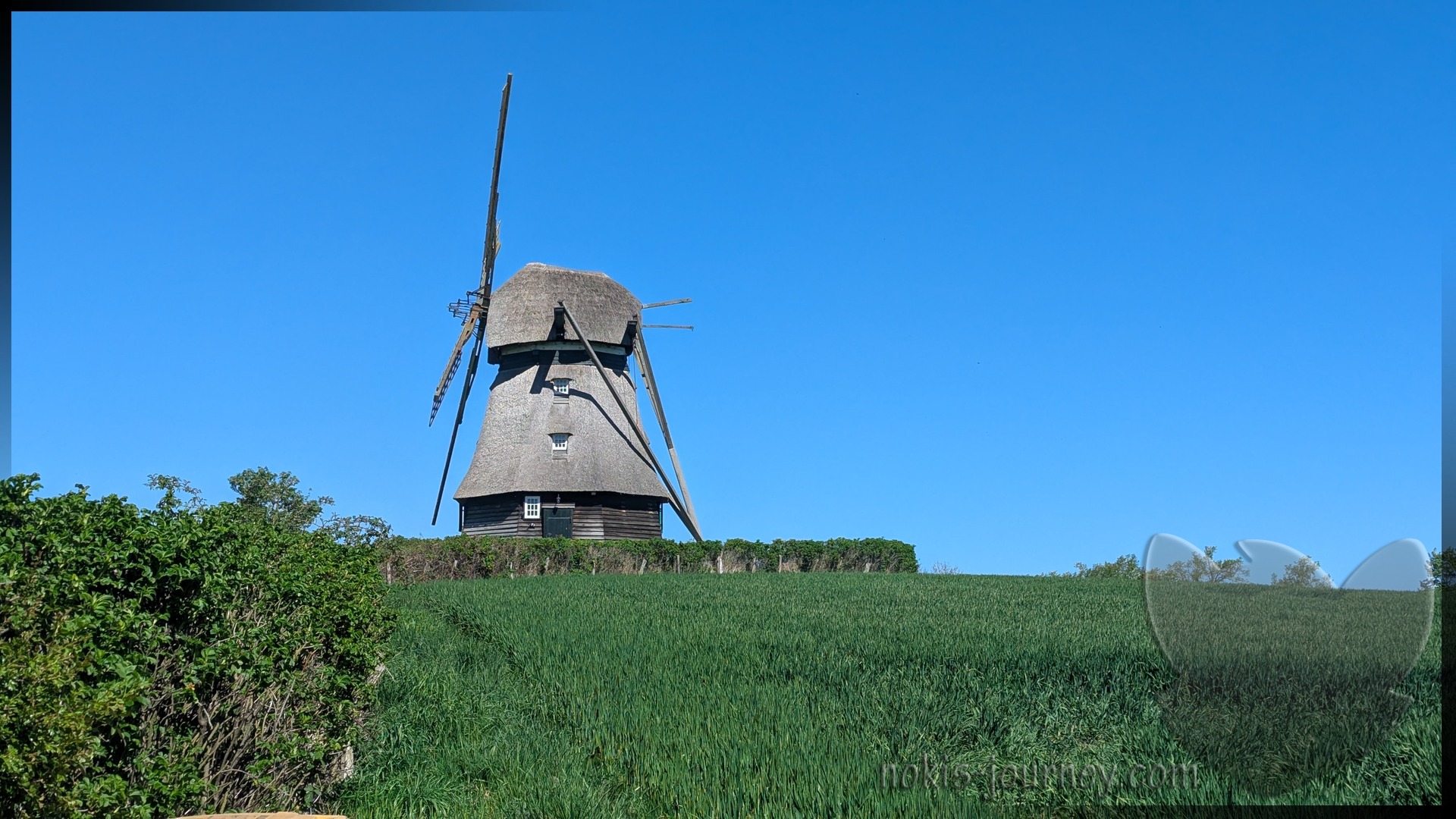 Die Farver Mühle